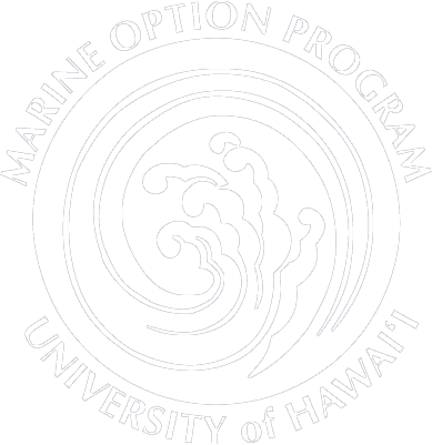 Marine Option Program Wave Logo