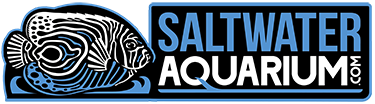 Saltwater Aquarium logo