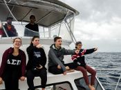 students pointing to whales